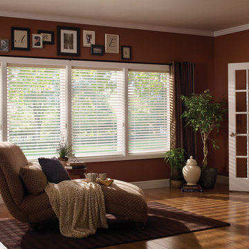 Odysee Cellular blinds
