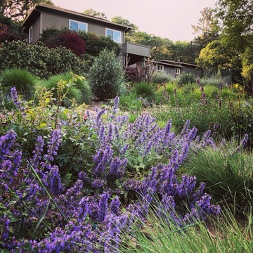 Sonoma County Garden