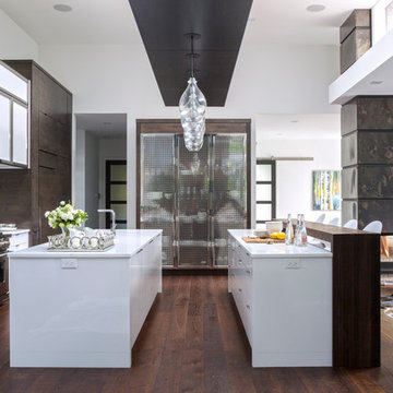 Contemporary Kitchen