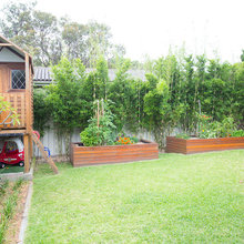Back Garden