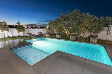 Inspiration for a modern pool remodel in Other