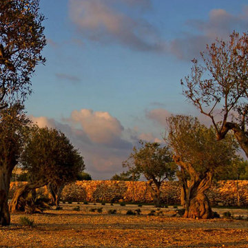 Villa Faro