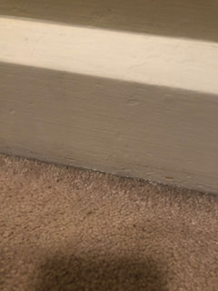 baseboard throughout house