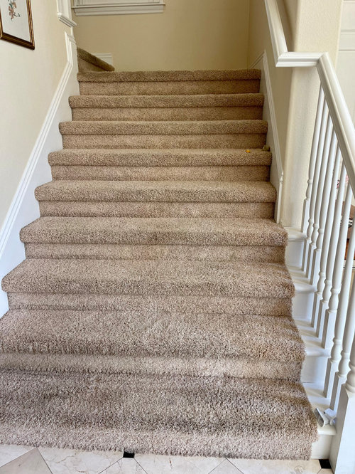 Carpet or Hardwood Stairs?