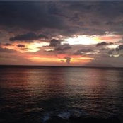 Monica Malkani's photo