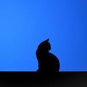 Crystal Cone's photo