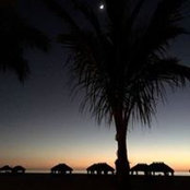 Augie Piazza's photo