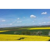 Beate Brettschneider's photo