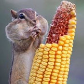 Brigid Erickson's photo