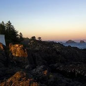 Tina Green's photo