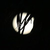 Nathan Fernandez's photo