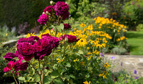 Garten-Ideen, die im Juli Freude machen