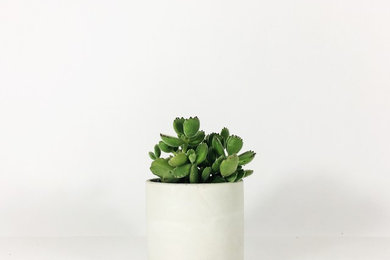 4" Straight Sided Concrete Pot / White
