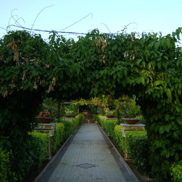 Landscape Design Zaveri & Co. FarmHouse