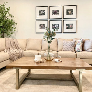 A & D Living Room re-design