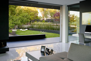 Inspiration for a huge modern backyard concrete patio container garden remodel in San Francisco