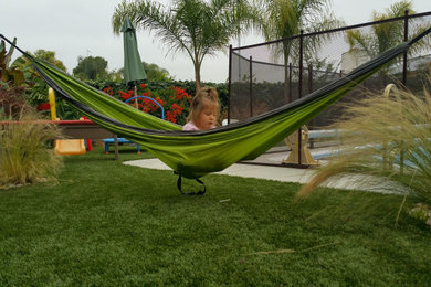 My House - Backyard