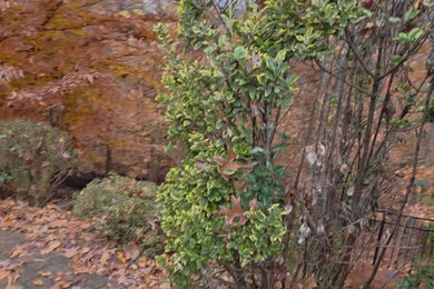 Design ideas for a landscaping in Charlotte.