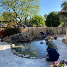Koi Pond