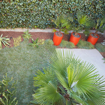 Urban Garden