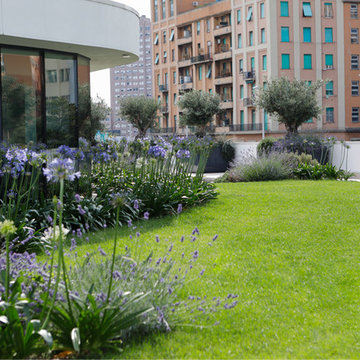 Terrazza Mercedes