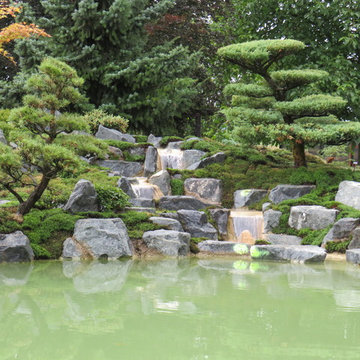 Moosgarten im Nordharz