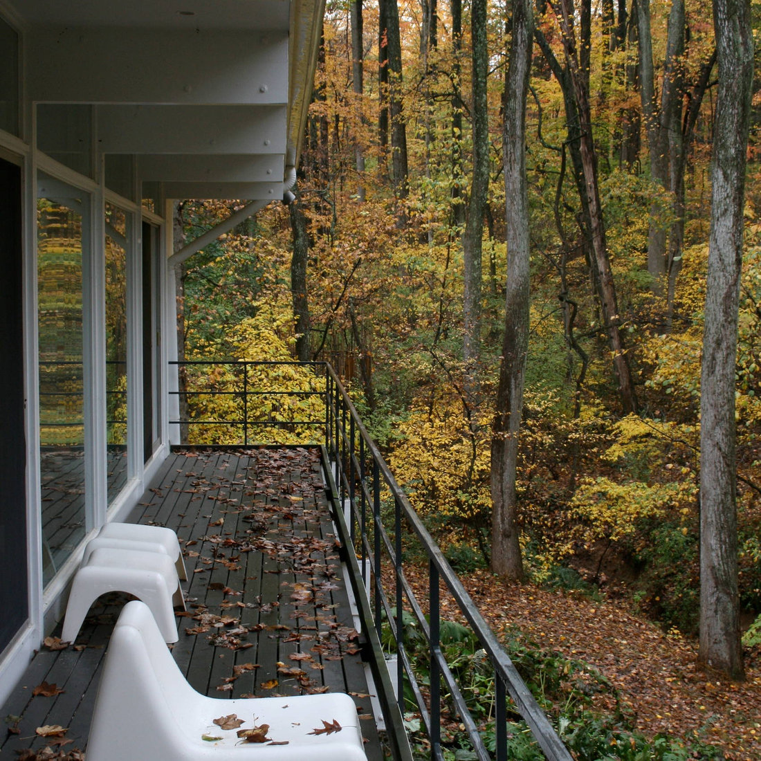 Moss Hill House