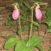 Marcia Stokes's photo