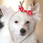 Carol Cisar's photo