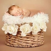 Karen Seile's photo