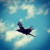 Foto de Beth Warriner
