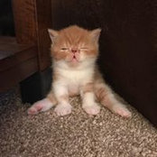 Jenni Clement's photo