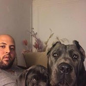 Jose Nunez's photo