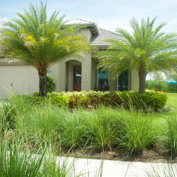 Tropical Full Yard Landscape in Naples FL