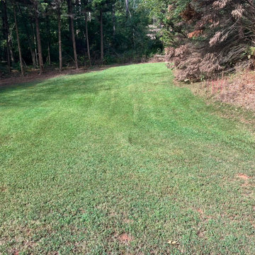 Landscape and Outdoor Property Improvement