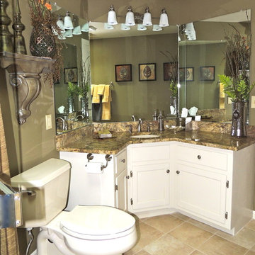 Guest bathroom remodel