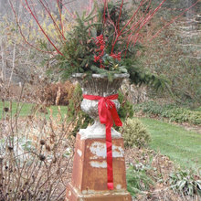 Container Garden