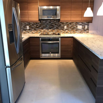 Kitchen Remodel/Renovation