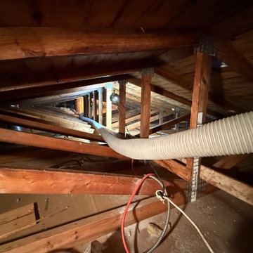 Mold Remediation Service in Attic