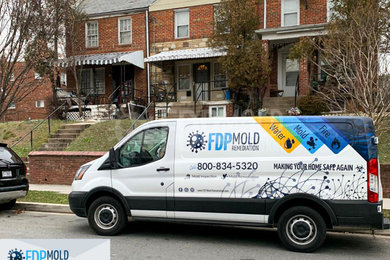 Mold Removal in Miami