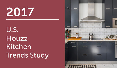 2017 U.S. Houzz Kitchen Trends Study