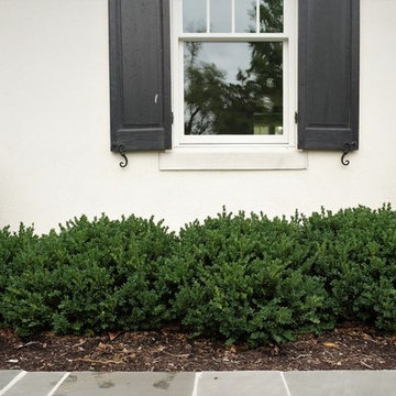 Kirkwood Boxwood Pruning