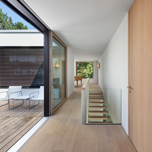 Foto de recibidores y pasillos minimalistas, de tamaño medio, con paredes blancas y suelo de madera en tonos medios