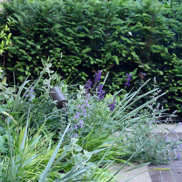 Fulham Courtyard