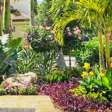 Kapuna Front Garden