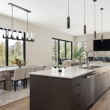 MAIN LIVING AREA - SELECTIONS OF FLOORING, CABINETRY, COUNTERTOPS, STONE & LIGHT