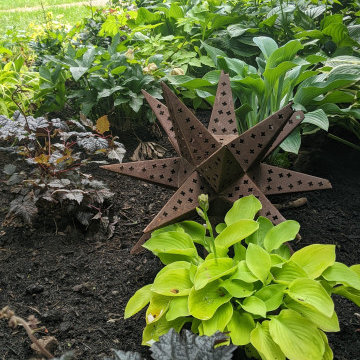 Shade Garden/Moon Garden/Fairy Garden