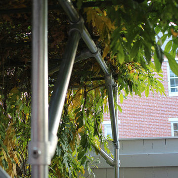 Wisteria Support Trellis and Pergola