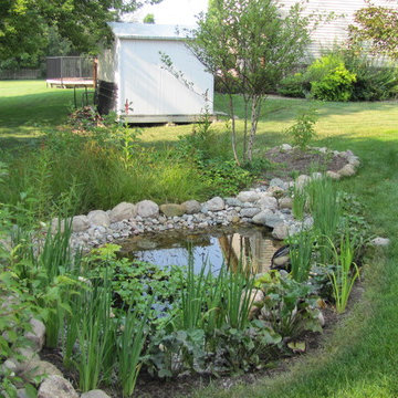 Pond and Rain Garden