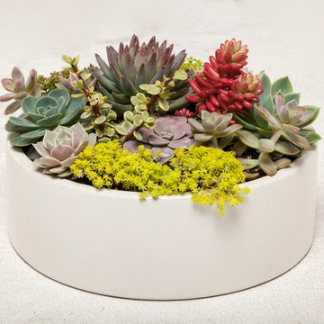 Concrete Planters